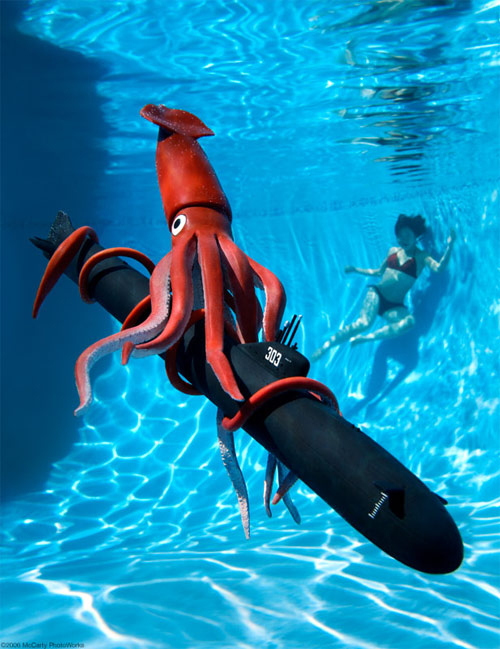 brian_mccarty-squid