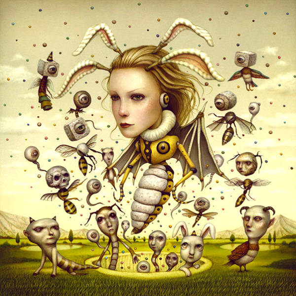Naoto Hattori Queen Wasp Naoto Hattori Queen Wasp